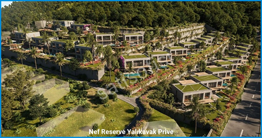 Nef Reserve Yalıkavak Prive görsel 7