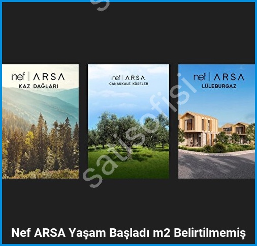 Nef ARSA