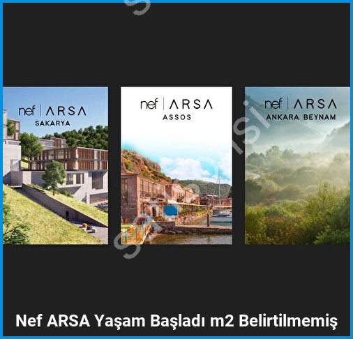 Nef ARSA 3