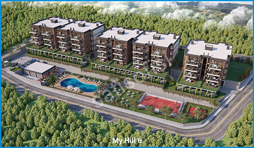 My Hill 6