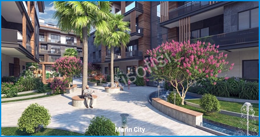 Marin City 4
