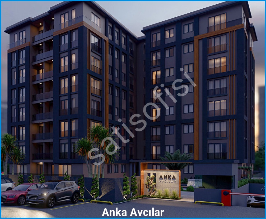 Anka Avcılar