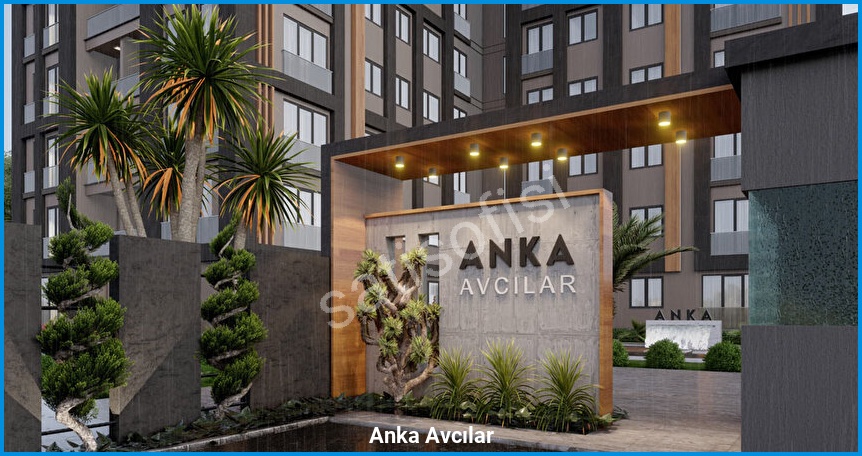 Anka Avcılar 3
