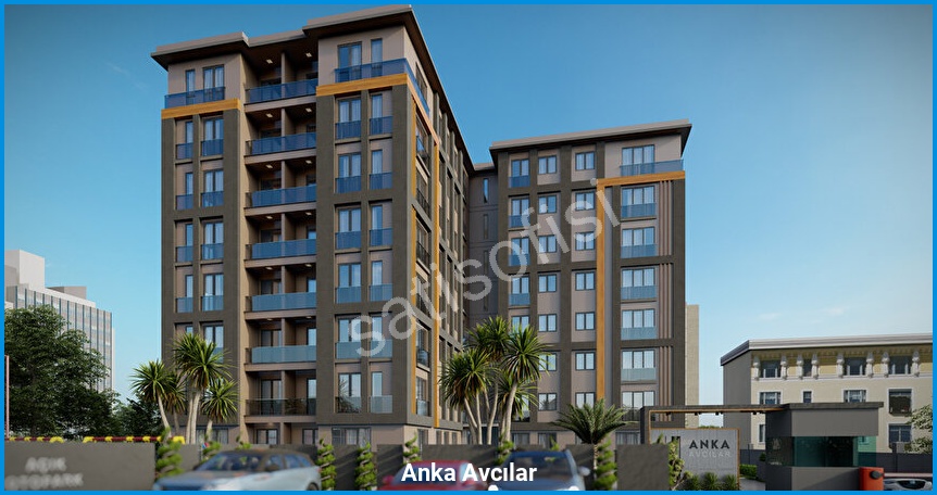 Anka Avcılar 5