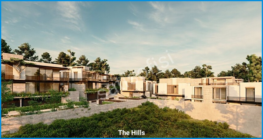 The Hills 10