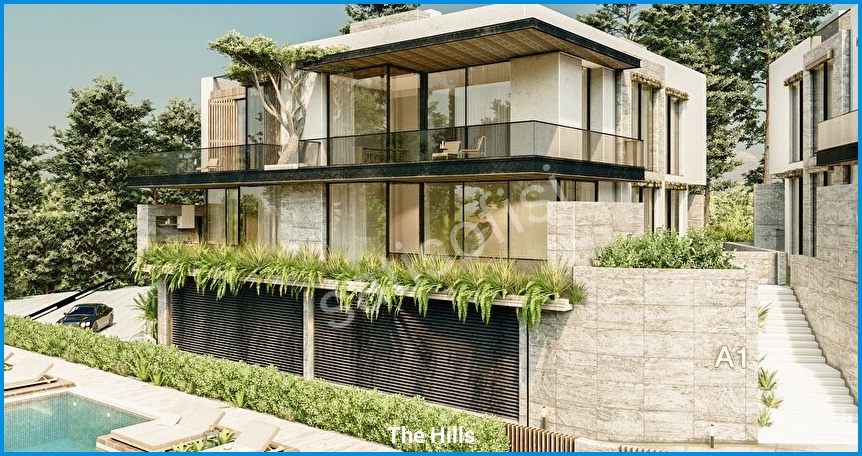 The Hills 11