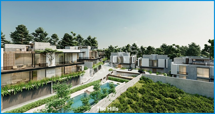 The Hills 12