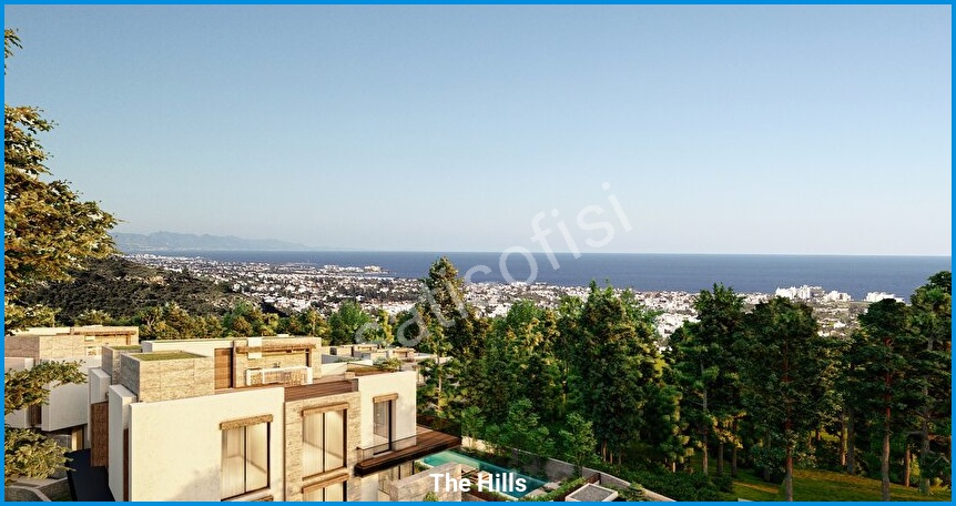 The Hills 13