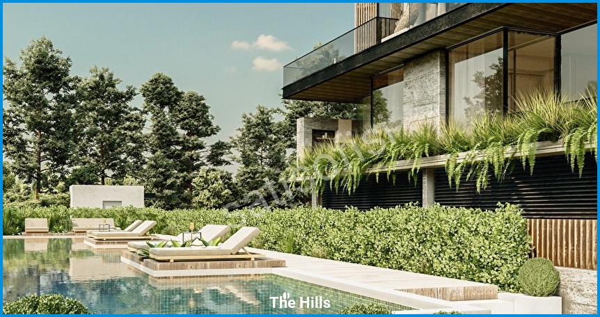 The Hills 14