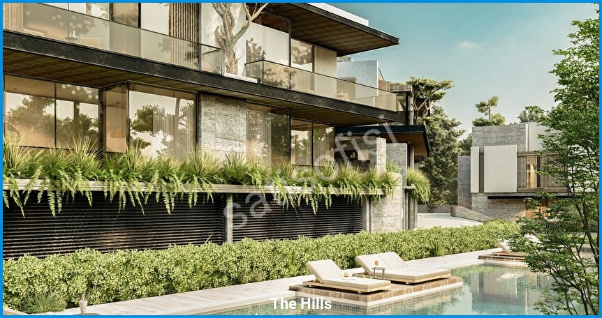 The Hills 3
