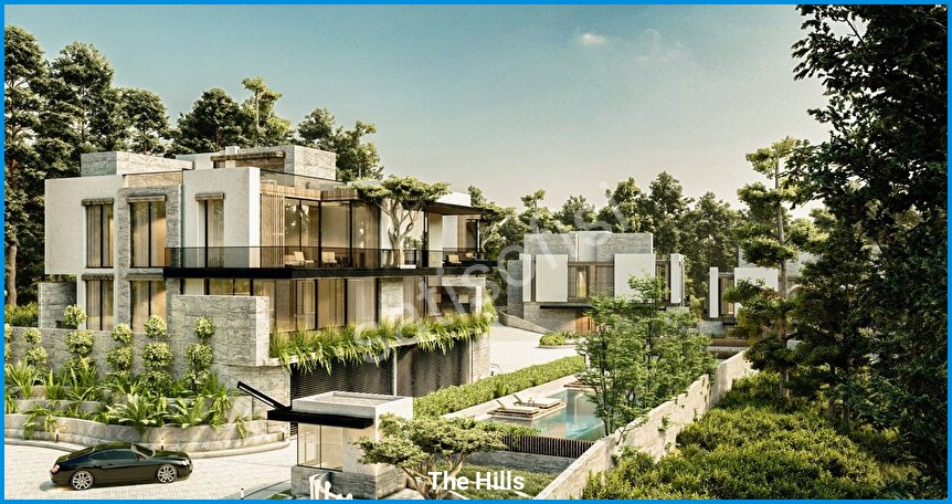 The Hills 4