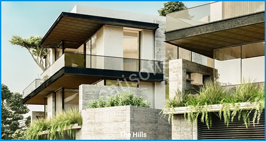 The Hills 9