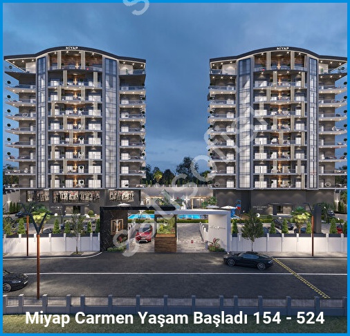 Miyap Carmen 2