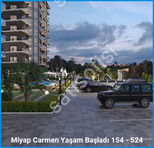 Miyap Carmen 3