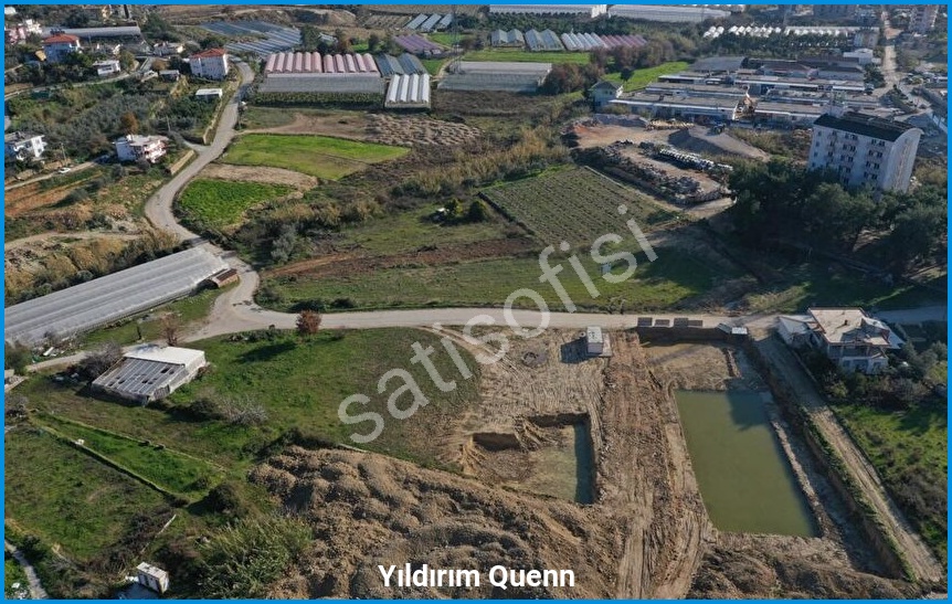 Yıldırım Quenn 19