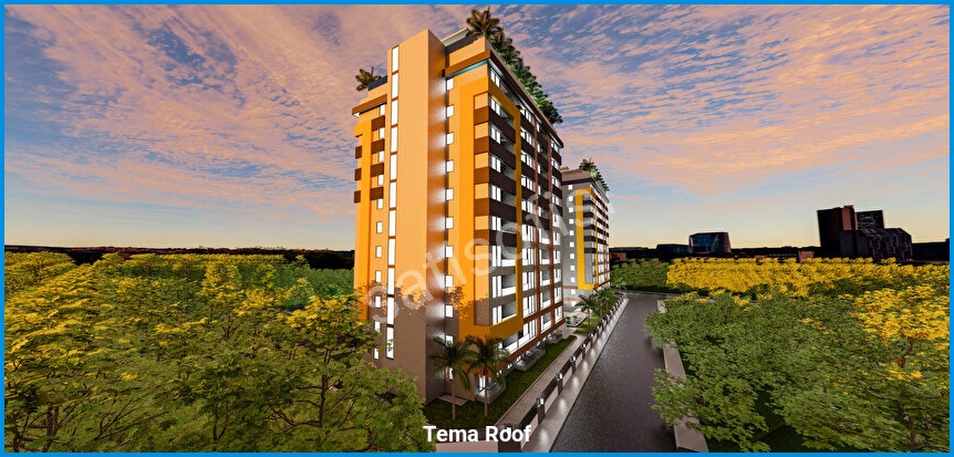 Tema Roof 8