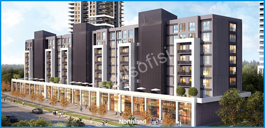 Northland Ankara 4