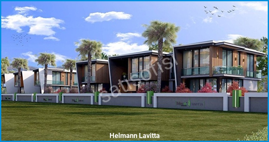 Helmann Lavitta