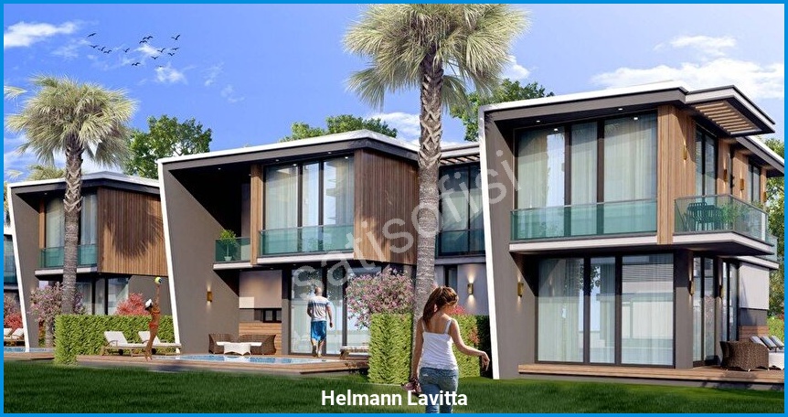 Helmann Lavitta görsel 2