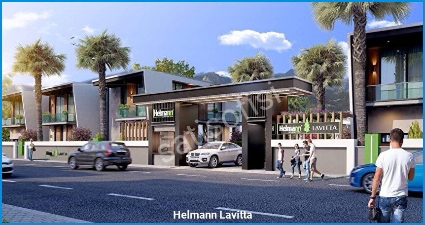 Helmann Lavitta görsel 3