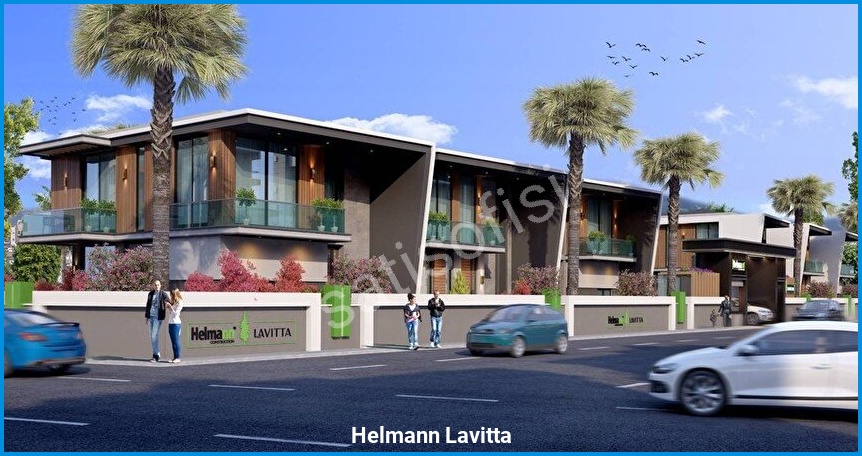 Helmann Lavitta görsel 5