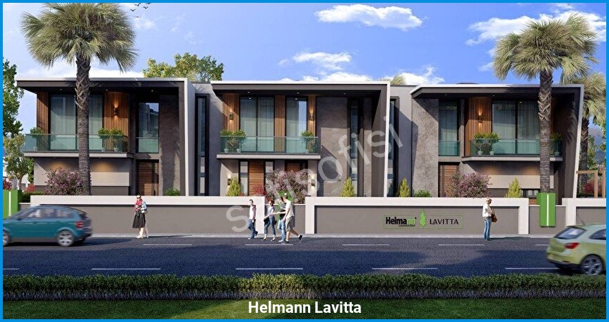 Helmann Lavitta görsel 6