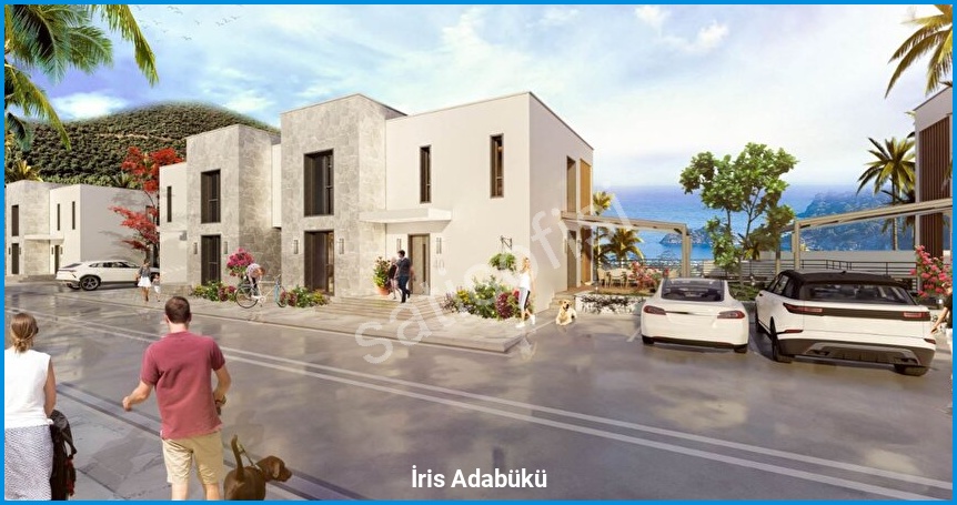 İris Adabükü