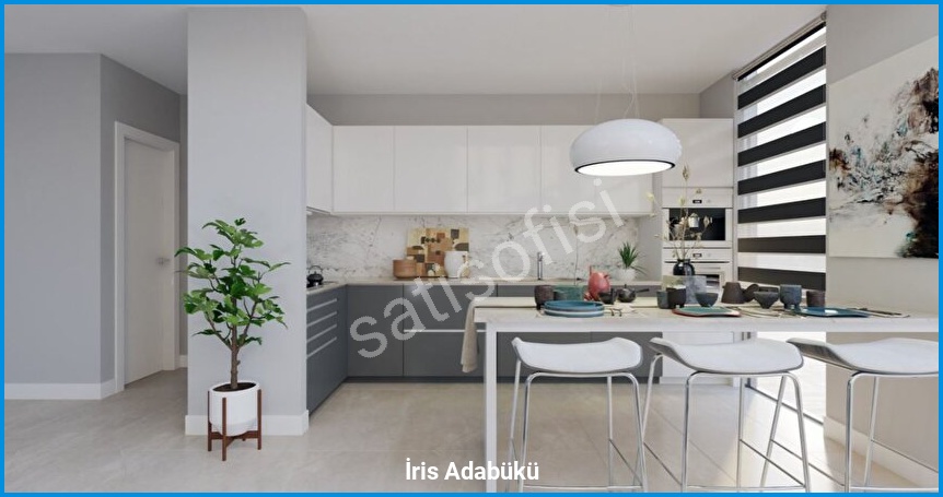 İris Adabükü 11