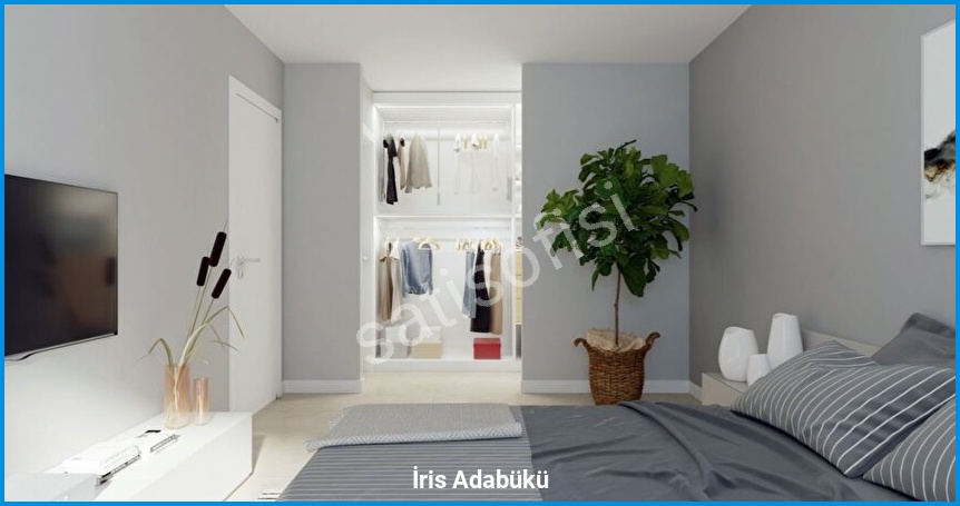 İris Adabükü 13