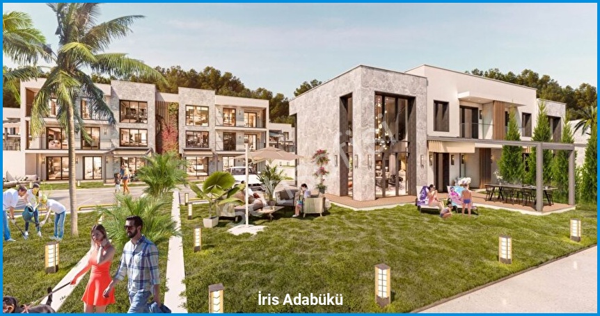 İris Adabükü 2