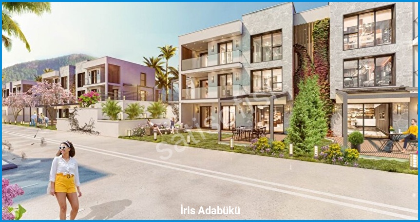 İris Adabükü 4