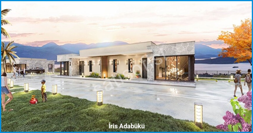 İris Adabükü 7