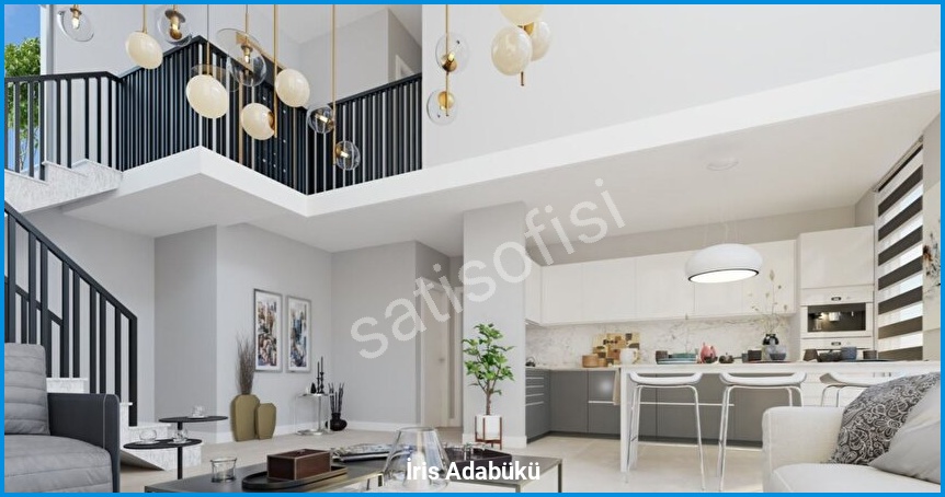 İris Adabükü 8