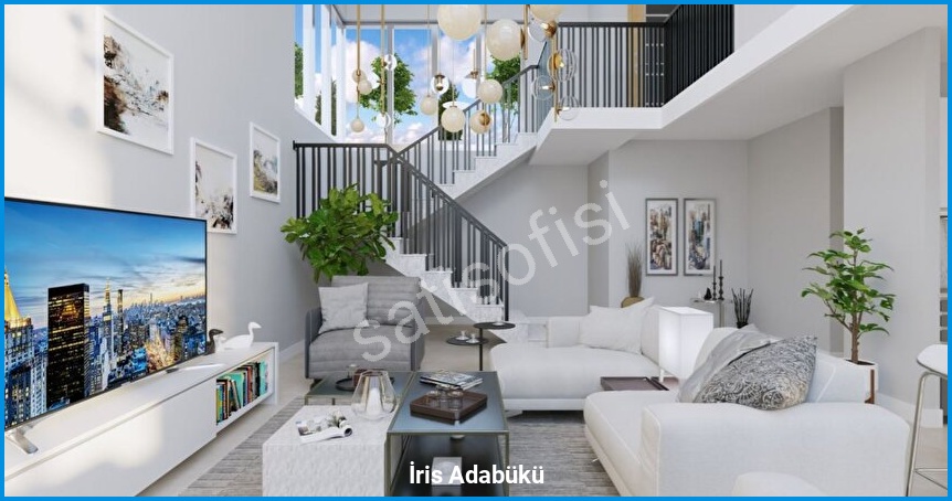 İris Adabükü 9