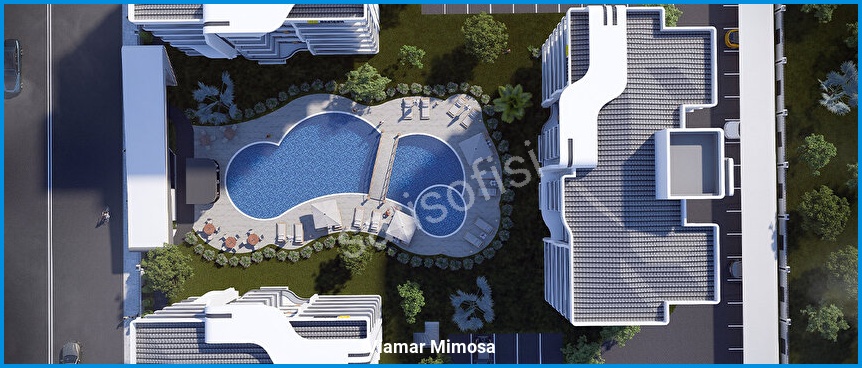 Viamar Mimosa 2