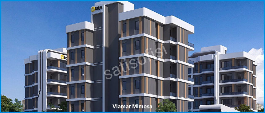 Viamar Mimosa 5