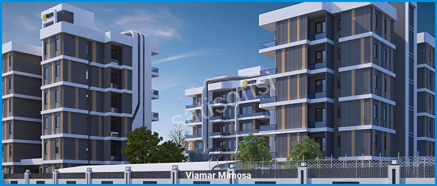 Viamar Mimosa 8