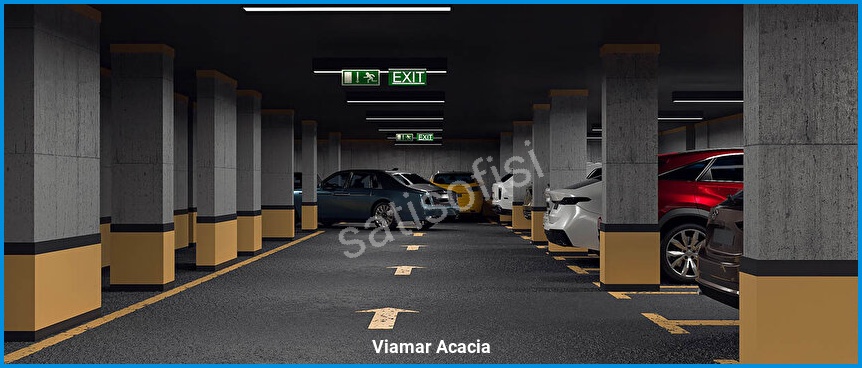 Viamar Acacia 12