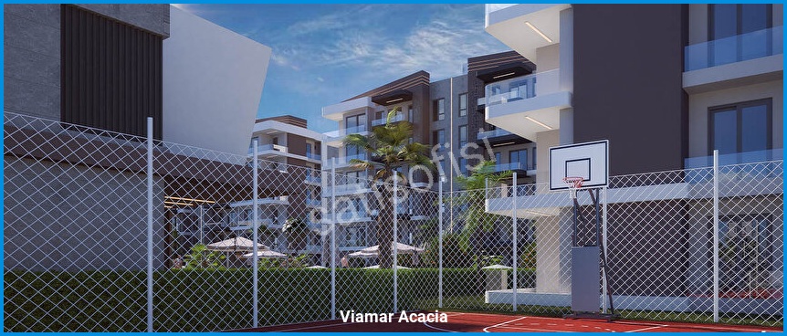 Viamar Acacia 6
