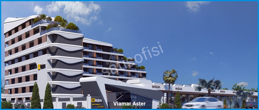 Viamar Aster