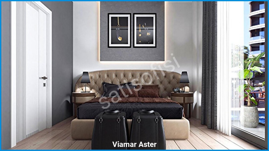 Viamar Aster 11