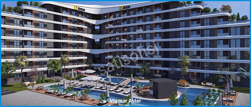Viamar Aster 3
