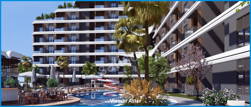 Viamar Aster 4
