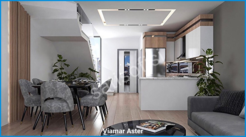 Viamar Aster 6
