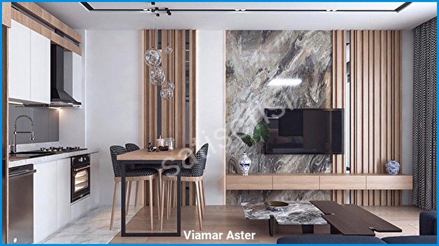Viamar Aster 7