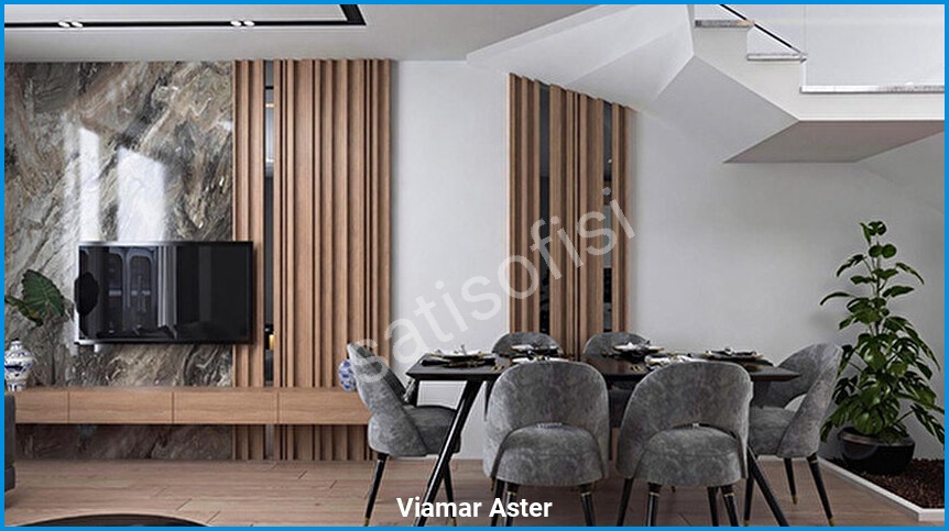 Viamar Aster 8