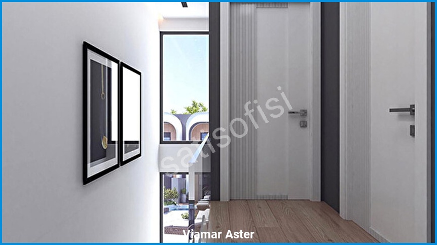 Viamar Aster 9