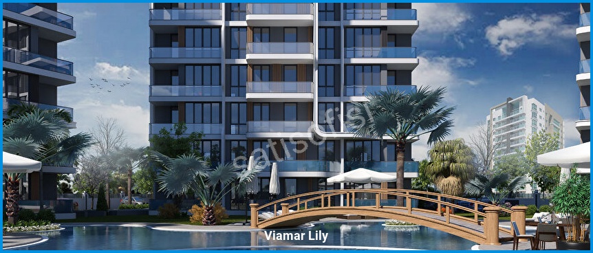 Viamar Lily 2