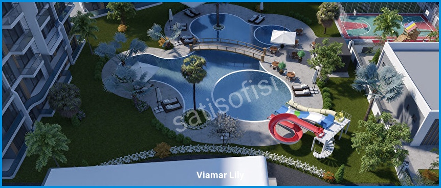 Viamar Lily 3
