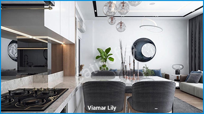 Viamar Lily 7